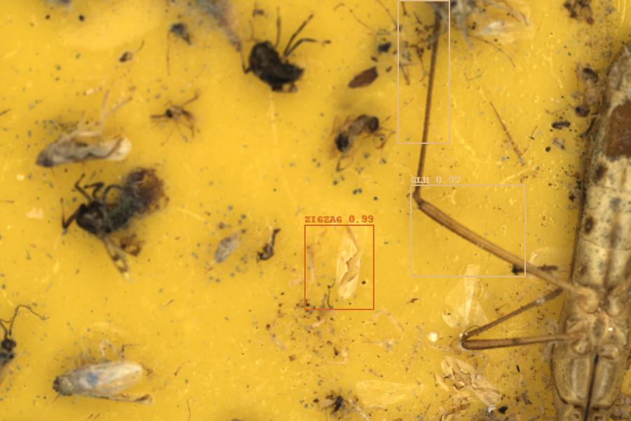 Image 11
